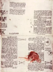 Notes sur la physiologie de la vision